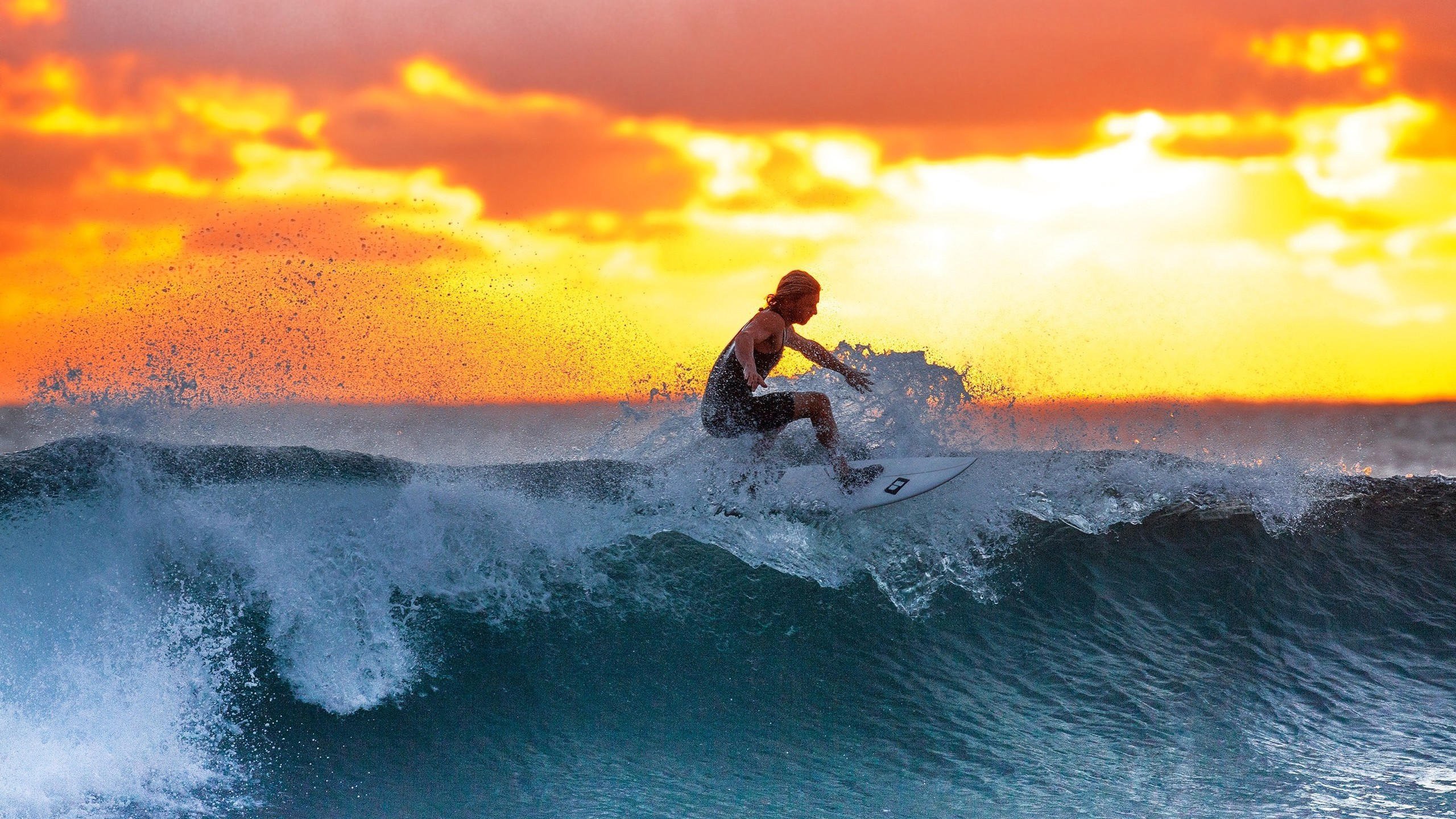 郁金香绽放北欧之夜，荷兰2-1力克瑞典，魔笛奏响不老传奇